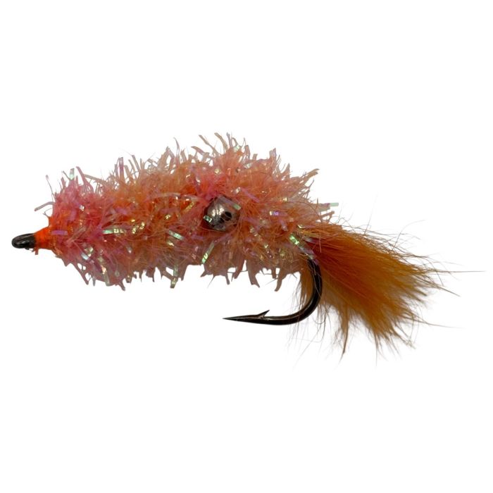 :on Cactus Shrimp Orange Str