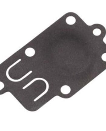 Diaphragm-carburetor