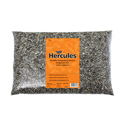 Hercules Stribet Solsikkefrø     Kg