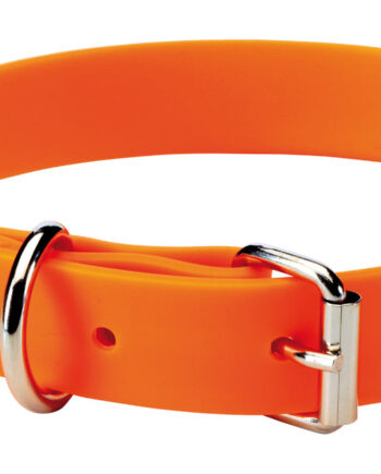 Hundehalsbånd 45 Cm Orange