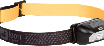 Nocturnal Pandelampe