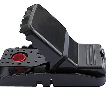 Ryom Musefælde  Quot Powersnap Quot    Stk
