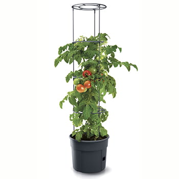 Ryom Tomat Potte 12 Ltr
