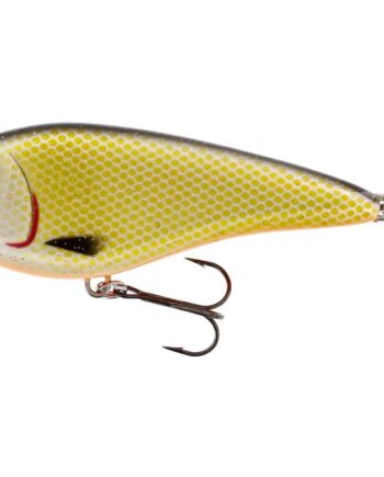 Westin Swim Glidebait 31g Low Floating Official Roach