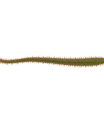 Berkley Gulp  Sandworm Camo Berkley