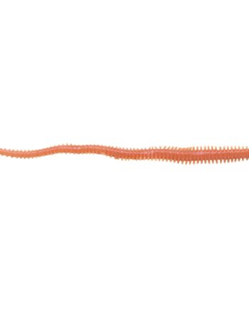 Berkley Gulp  Sandworm Natural Berkley