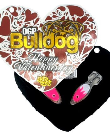 Bulldog Valentinesday 2023 Blink