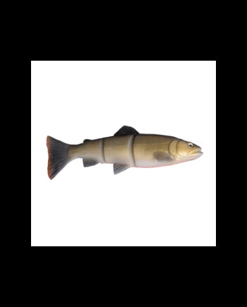 Savage Gear 3d Line Thru Trout 15cm 40gr Roach Softbait