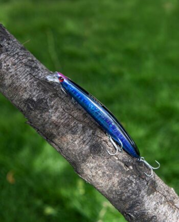 Senshu Zander Buddy Wobler 12 5cm 20gr Blackâ   Blue Wobler