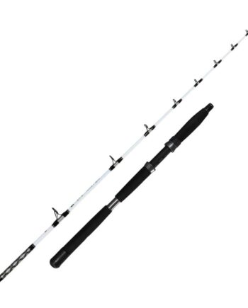 Team Deep Sea Beachbeast Surf 14  100-250gr Pirkestang