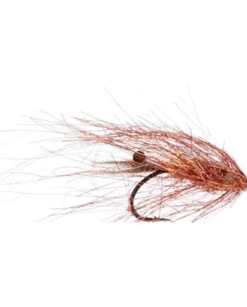 Jensen Copper Shrimp