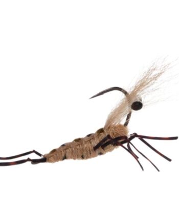 Jensen Honey Shrimp Original