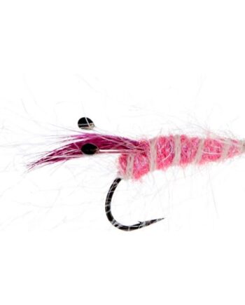 Jensen Panic Shrimp Pink