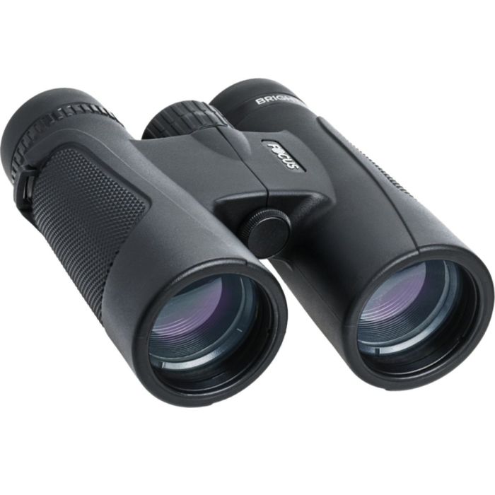 Focus Bright Kikkert 10x42