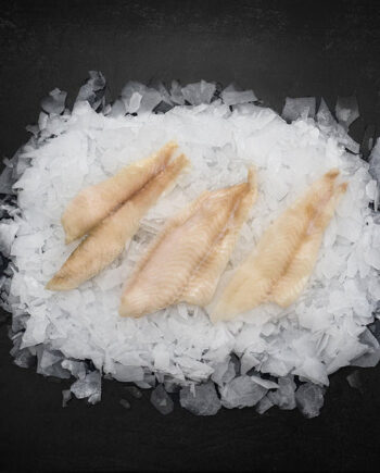 Isingfilet