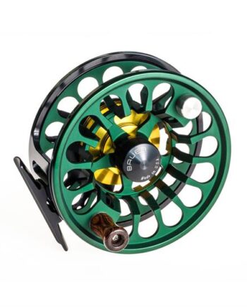 Bauer Rx