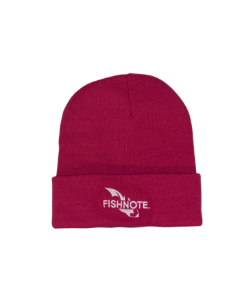 Fishnote Hue Pink