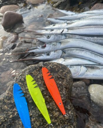 Fishnote Salty 18g Hornfisk Kyst Pakken
