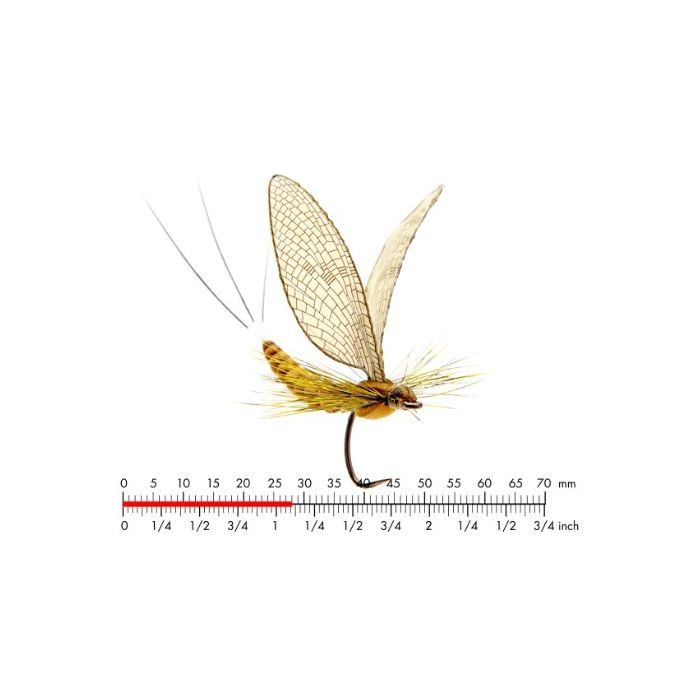 :on Mayfly Dun   Cinnamon Brown  10