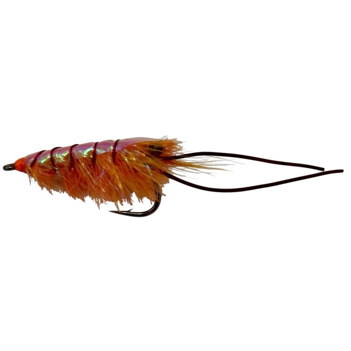 :on The Glimmer Shrimp Str