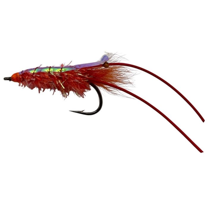 :on The Glimmer Shrimp Str