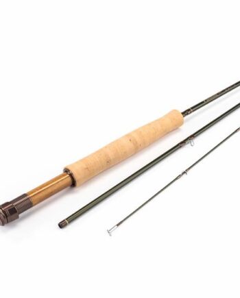 Sage Dart      Fod