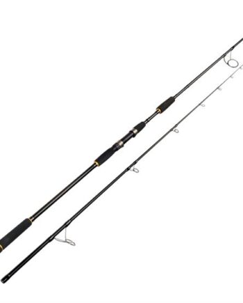 Sportex Sturgeon
