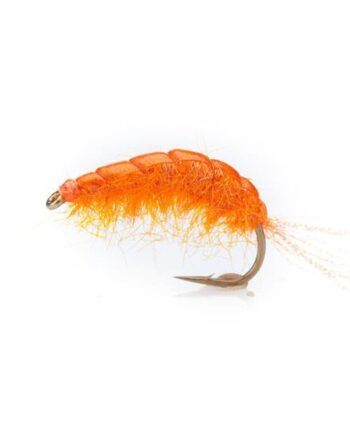 Tangloppen Orange