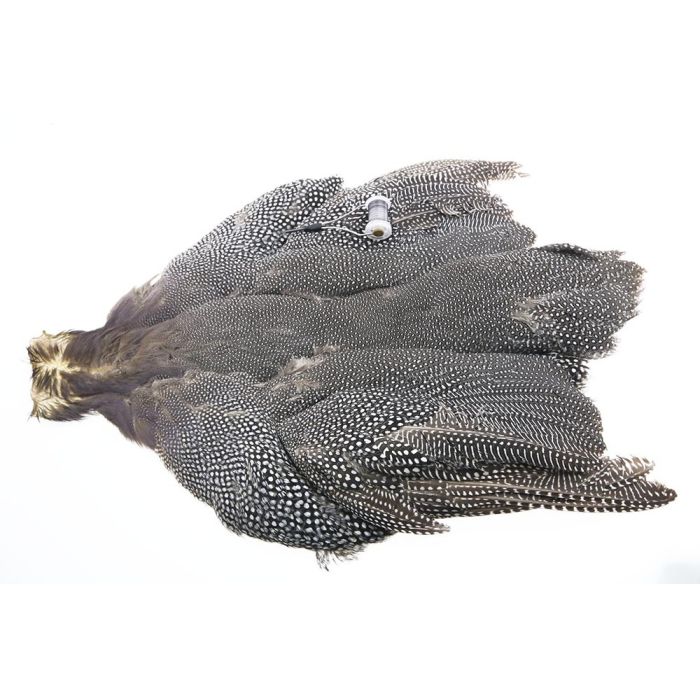 The Fly Co  Guinea Skin Natural