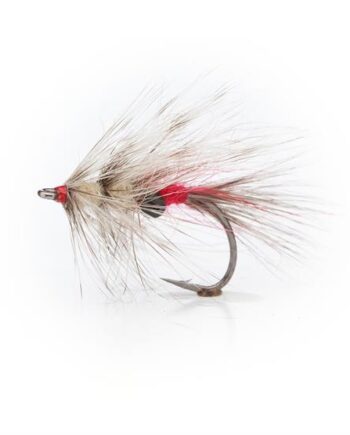 Vaskebjørnen Grizzly