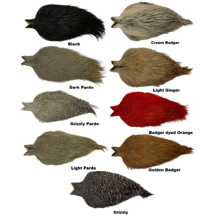 Whiting Coq De Leon Cape