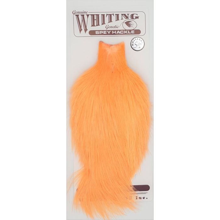Whiting Silver Spey Hackle Cape White Dyed Salmon
